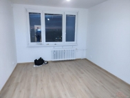 Pronjem bytu 1+kk, 0 m2, OV, Praha 4, Brank, ul. doln - exkluzivn