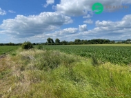 Prodej pozemku , zemdlsk pda, Prostjov