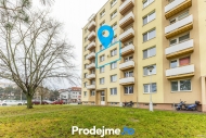 Pronjem bytu 1+1, 34 m2, OV, Znojmo, ul. Prask