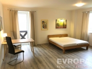 Pronjem bytu 1+kk, 47 m2, OV, Plze, ernice (okres Plze-msto), ul. K Lutov