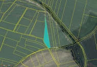 Prodej pozemku 6 189 m2, zahrada, Pravon�n, Volavka (okres Bene�ov)