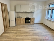 Pron�jem bytu 1+1, 0 m2, OV, Pardubice, B�l� P�edm�st�, ul. �trossova