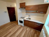 Pron�jem bytu 2+1, 54 m2, OV, A� (okres Cheb), ul. Hl�vkova