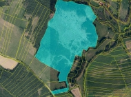 Prodej pozemku , les, Ml�ny, Vl�eves (okres T�bor) - exkluzivn�