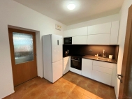 Pron�jem bytu 2+1, 55 m2, OV, Kr�l�v Dv�r, Zaho�any (okres Beroun), ul. Jungmannova