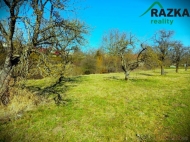 Prodej pozemku , zahrada, Kanice (okres Doma�lice)
