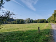 Prodej pozemku , zem�d�lsk� p�da, �esk� T��n, Mist�ovice (okres Karvin�) - exkluzivn�