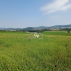 Prodej pozemku , zemědělská půda, Holubov (okres Český Krumlov)