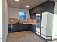 Pron�jem bytu 3+kk, 74 m2, OV, Liberec, Liberec XII-Star� Pavlovice, ul. Poln�