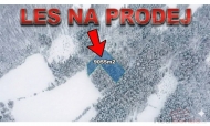 Prodej pozemku , les, Velk� Hamry, Bohdalovice (okres Jablonec nad Nisou)
