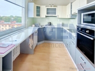 Pron�jem bytu 3+1, 83 m2, OV, �amberk (okres �st� nad Orlic�), ul. Pion�r�