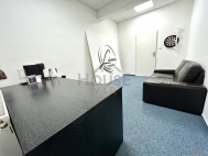 Pron�jem kancel���, Praha 7, Hole�ovice