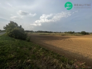 Prodej pozemku , zem�d�lsk� p�da, Pavlov (okres B�eclav)