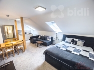 Prodej bytu 1+kk, 62 m2, OV, Jeseník, ul. Zeyerova - exkluzivně