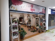 Pron�jem obchodn�ch prostor, �esk� Bud�jovice