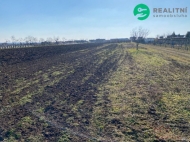 Prodej pozemku , zemědělská půda, Moravská Nová Ves (okres Břeclav)