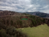 Prodej pozemku , les, Str� nad Oh�� (okres Karlovy Vary)