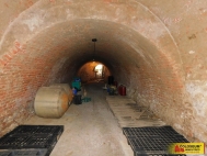 Prodej, Miroslav (okres Znojmo)