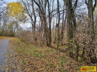 Prodej pozemku , určený k výstavbě RD, Rousínov, Čechyně (okres Vyškov)