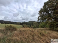 Prodej pozemku , trval� travn� porost, Lestkov, Domaslav (okres Tachov) - exkluzivn�