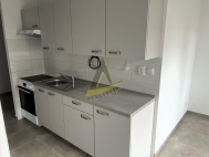 Pron�jem bytu 3+1, 70 m2, OV, Kaplice (okres �esk� Krumlov), ul. Na Vyhl�dce