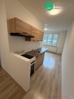 Pron�jem bytu 2+1, 0 m2, OV, Chomutov, ul. �koln� p�ina