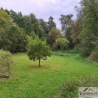 Prodej pozemku , určený k výstavbě RD, Černošín, Ostrovce (okres Tachov) - exkluzivně