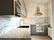 Pron�jem bytu 3+1, 67 m2, OV, T�inec, Ly�bice (okres Fr�dek-M�stek), ul. Lidick�