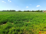 Prodej pozemku , zemědělská půda, Telnice (okres Brno-venkov)