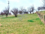 Prodej pozemku , ur�en� k v�stavb� RD, Police (okres Vset�n) - exkluzivn�