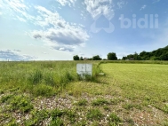 Prodej pozemku , zemědělská půda, Choltice (okres Pardubice) - exkluzivně