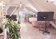 Pron�jem kancel���, Praha 5