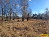 Prodej pozemku , ur�en� pro komer�n� v�stavbu, �afov (okres Znojmo)