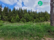 Prodej pozemku , les, Po��tky, He�mane� (okres Pelh�imov)