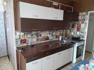 Pron�jem bytu 1+1, 0 m2, OV, �esk� Bud�jovice, �esk� Bud�jovice 2, ul. K. �af��e