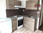 Pron�jem bytu 1+1, 0 m2, OV, Litom��ice, P�edm�st�, ul. Ple�iveck�