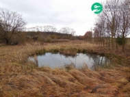 Prodej pozemku 6 745 m2, zahrada, Cebiv, Bezem�n (okres Tachov)