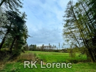 Prodej pozemku 5 265 m2, trvalý travní porost, Radostín nad Oslavou (okres Žďár nad Sázavou) - exkluzivně