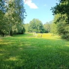 Prodej pozemku , trval� travn� porost, Holubov, Kraset�n (okres �esk� Krumlov)