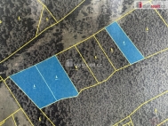 Prodej pozemku , les, Nebahovy, Jelemek (okres Prachatice)