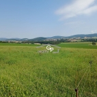 Prodej pozemku , zemědělská půda, Holubov, Krasetín (okres Český Krumlov)