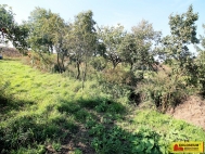 Prodej pozemku , zahrada, Valtice (okres B�eclav)