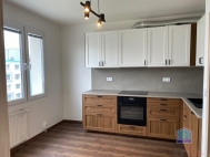 Pron�jem bytu 1+1, 39 m2, OV, Plze�, Bolevec (okres Plze�-m�sto), ul. �lutick�