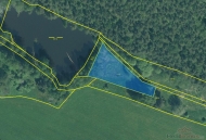 Prodej pozemku , les, Ho��ka, Nov� Domky (okres Tachov) - exkluzivn�