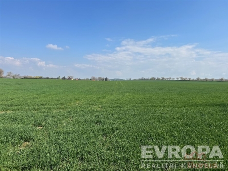 Zelen� pole s otev�en�m prostorem, kr�sn� udr�ovan� a rovn�, vhodn� pro zem�d�lsk� ��ely nebo developersk� projekt na klidn�m m�st�.