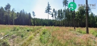 Prodej pozemku , les, Vodice, Domamy�l (okres T�bor)