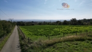 Prodej pozemku , ur�en� k v�stavb� RD, Radslavice (okres Vy�kov)