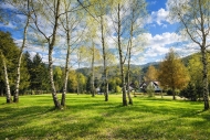 Prodej pozemku , zahrada, Horn� Be�va (okres Vset�n)