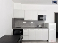 Pron�jem bytu 1+kk, 31 m2, OV, Brno, �eb�t�n (okres Brno-m�sto), ul. Hlineck�