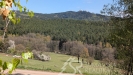 PXL_20260428_131911057.jpg